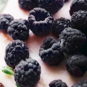Черная малина и ваниль (Black Raspberry Vanilla) Candlescience
