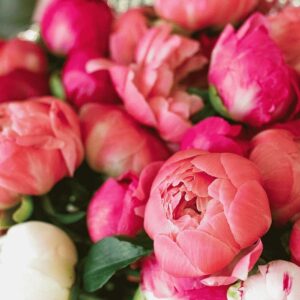 Магнолия и пионы (Magnolia and Peony) Candlescience