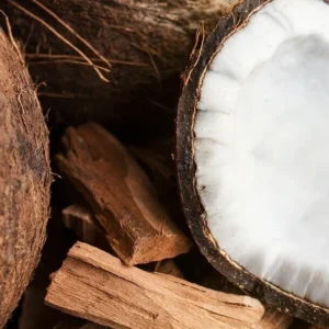 Сандал и кокос (Santal and Coconut) Candlescience