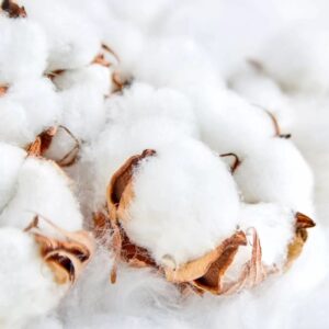 Чистый хлопок (Clean Cotton) Candlescience